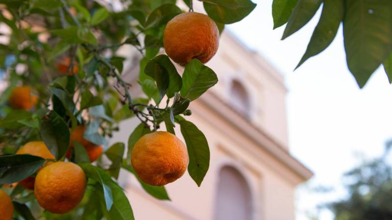 hotel-aranci-rome-esterna